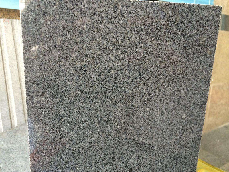 福建芝麻黑報價貴不貴