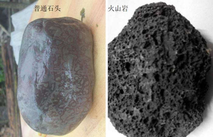 火山巖和普通石頭對比.jpg